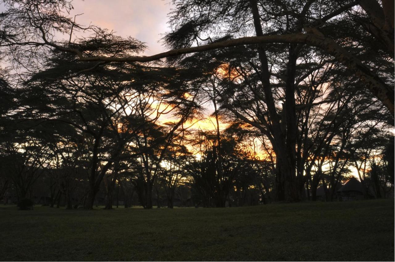 Lake Naivasha Sopa Resort エクステリア 写真